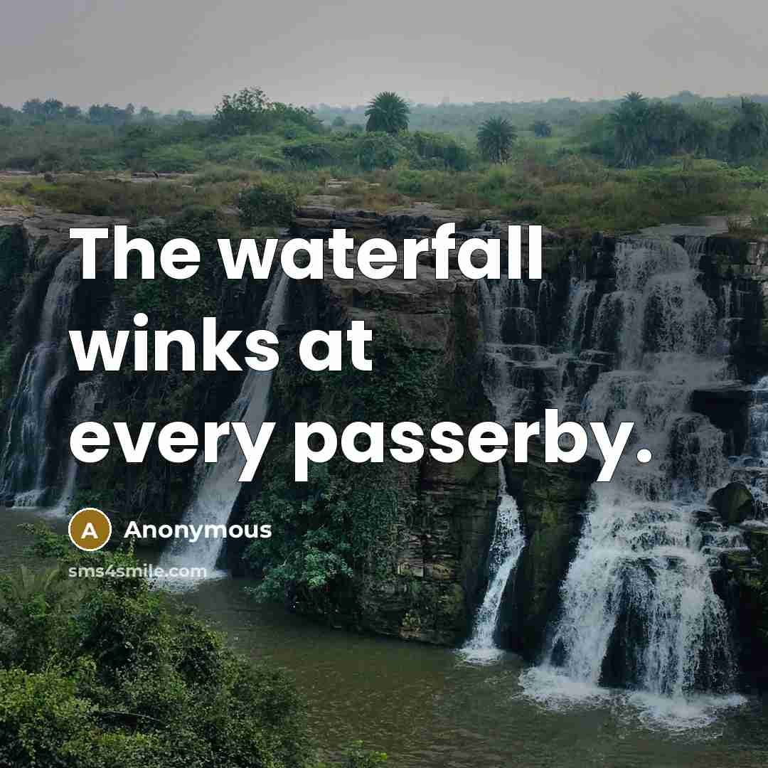 “The waterfall winks at every passerby.” quote by Anonymous