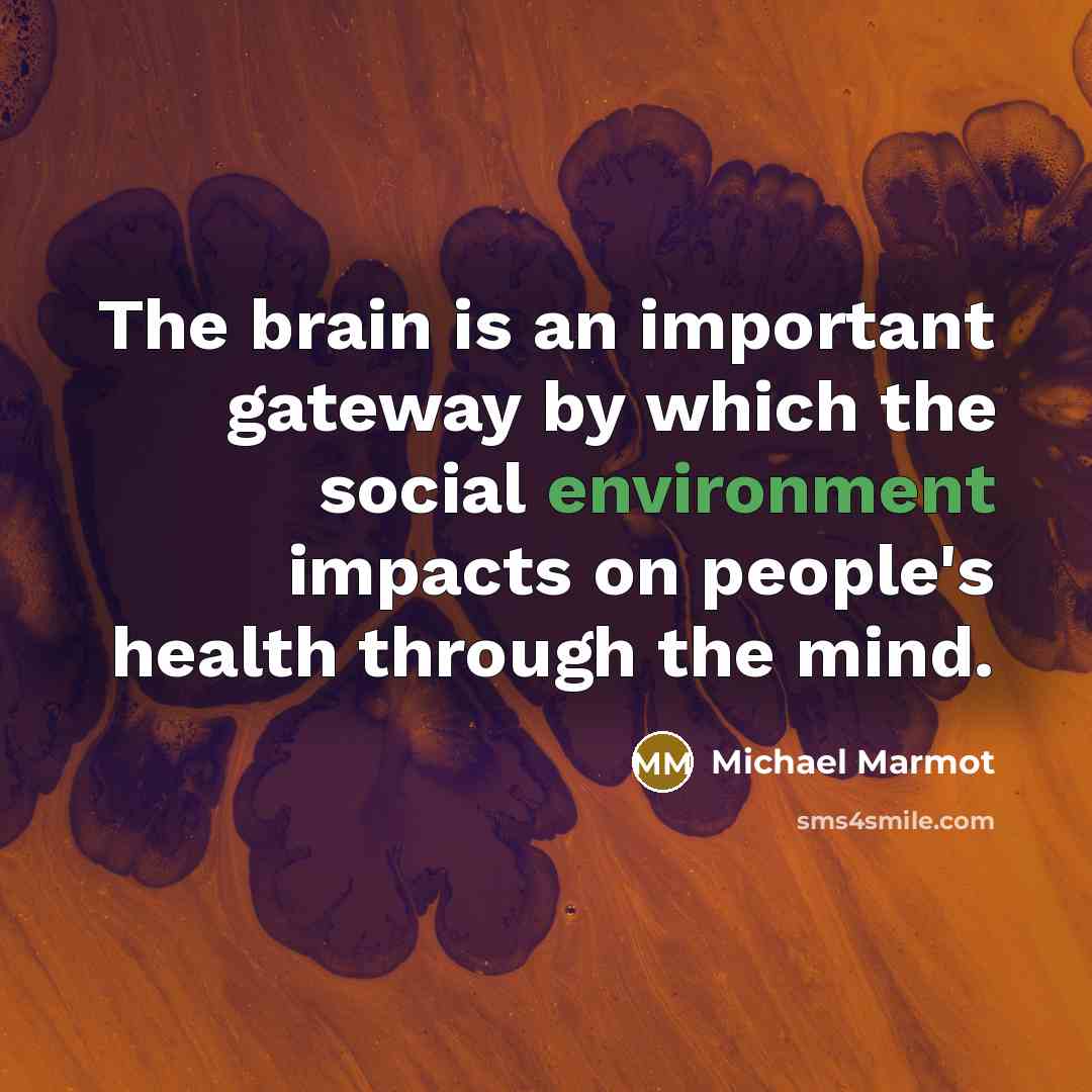 “The brain is an important gateway by which the social environment impacts on people's health through the mind.” quote by Michael Marmot