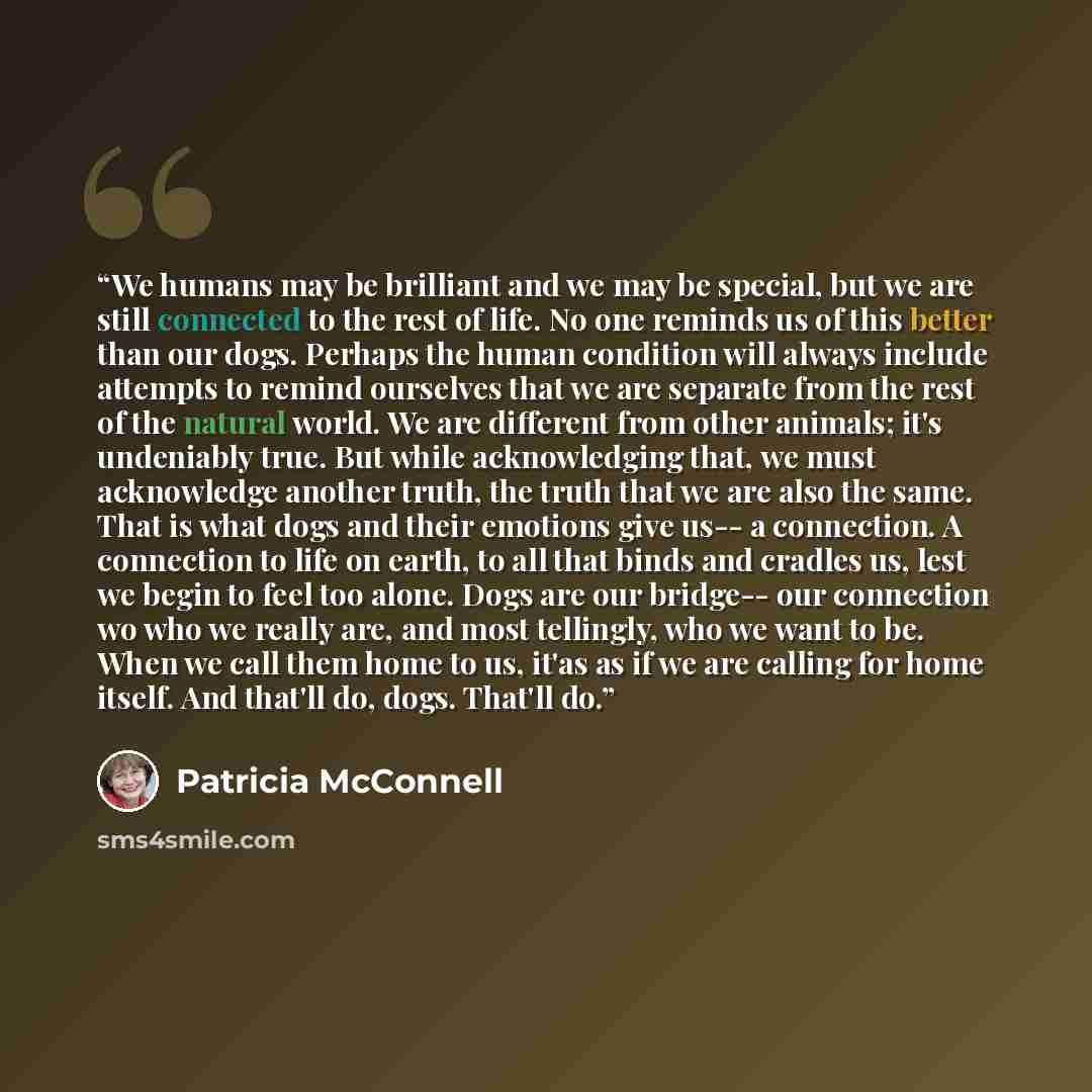 “We humans may be brilliant and we may be special, but we are still connected to the rest of life. No one reminds us of this better than our dogs. Perhaps the human condition will always include attempts to remind ourselves that we are separate from the rest of the natural world. We are different…” quote by Patricia McConnell