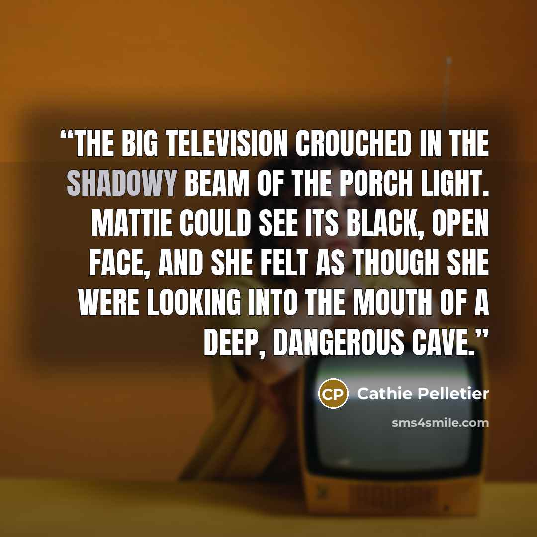 “The big television crouched in the shadowy beam of the porch light. Mattie could see its black, open face, and she felt as though she were looking into the mouth of a deep, dangerous cave.” quote by Cathie Pelletier