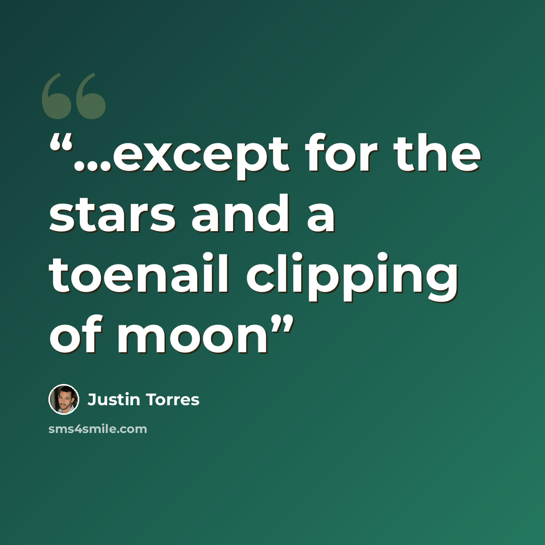 “...except for the stars and a toenail clipping of moon” quote by Justin Torres