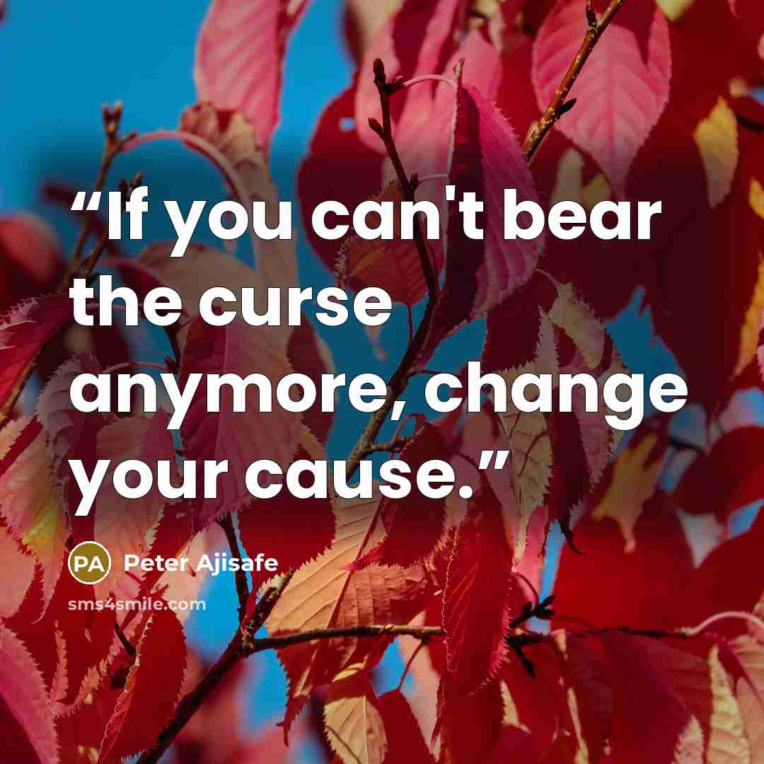 “If you can't bear the curse anymore, change your cause.” quote by Peter Ajisafe