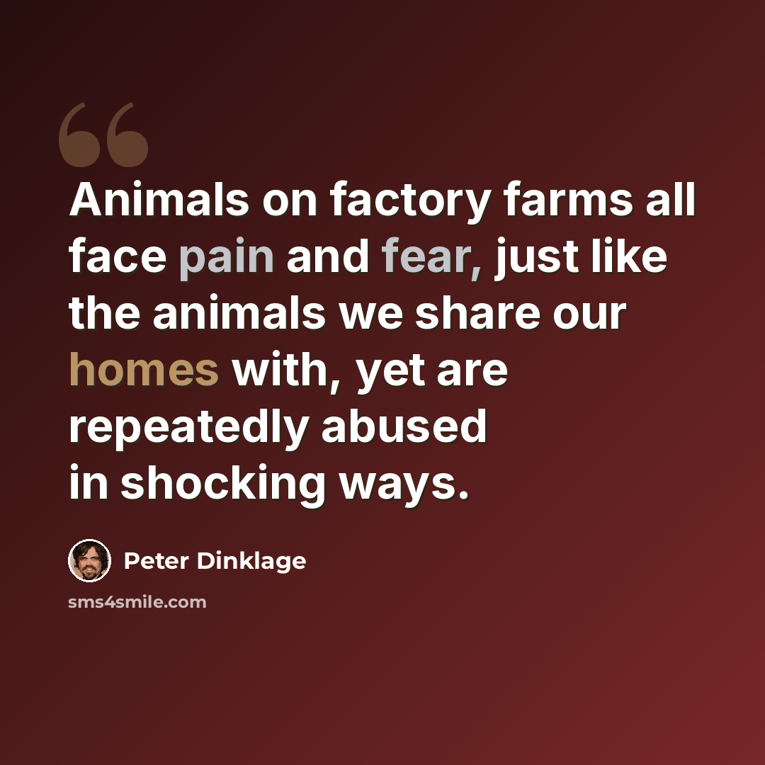 “Animals on factory farms all face pain and fear, just like the animals we share our homes with, yet are repeatedly abused in shocking ways.” quote by Peter Dinklage