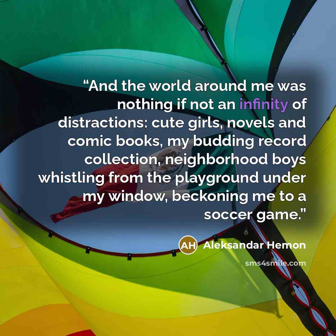 “And the world around me was nothing if not an infinity of distractions: cute girls, novels and comic books, my budding record collection, neighborhood boys whistling from the playground under my window, beckoning me to a soccer game.” quote by Aleksandar Hemon