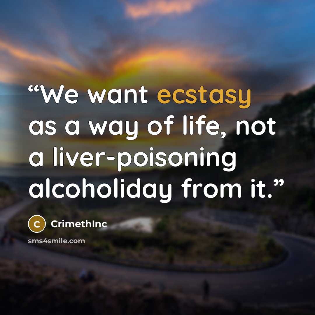 “We want ecstasy as a way of life, not a liver-poisoning alcoholiday from it.” quote by Crimethinc