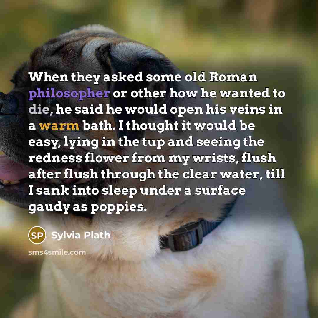 “When they asked some old Roman philosopher or other how he wanted to die, he said he would open his veins in a warm bath. I thought it would be easy, lying in the tup and seeing the redness flower from my wrists, flush after flush through the clear water, till I sank into sleep under a surface…” quote by Sylvia Plath