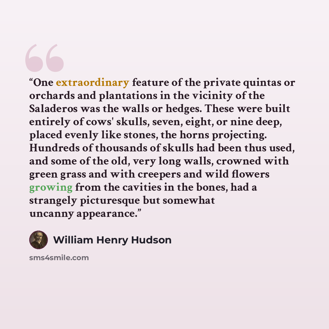 “One extraordinary feature of the private quintas or orchards and plantations in the vicinity of the Saladeros was the walls or hedges. These were built entirely of cows' skulls, seven, eight, or nine deep, placed evenly like stones, the horns projecting. Hundreds of thousands of skulls had been…” quote by William Henry Hudson