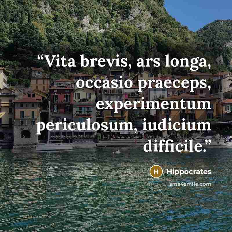 “Vita brevis, ars longa, occasio praeceps, experimentum periculosum, iudicium difficile.” quote by Hippocrates
