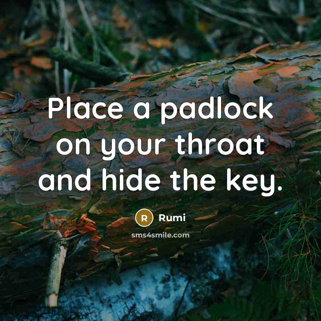 “Place a padlock on your throat and hide the key.” quote by Rumi