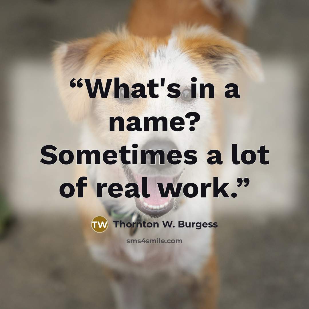 “What's in a name? Sometimes a lot of real work.” quote by Thornton W. Burgess
