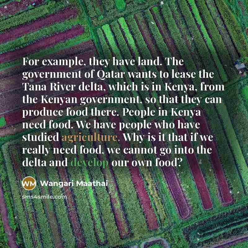 “For example, they have land. The government of Qatar wants to lease the Tana River delta, which is in Kenya, from the Kenyan government, so that they can produce food there. People in Kenya need food. We have people who have studied agriculture. Why is it that if we really need food, we cannot go…” quote by Wangari Maathai
