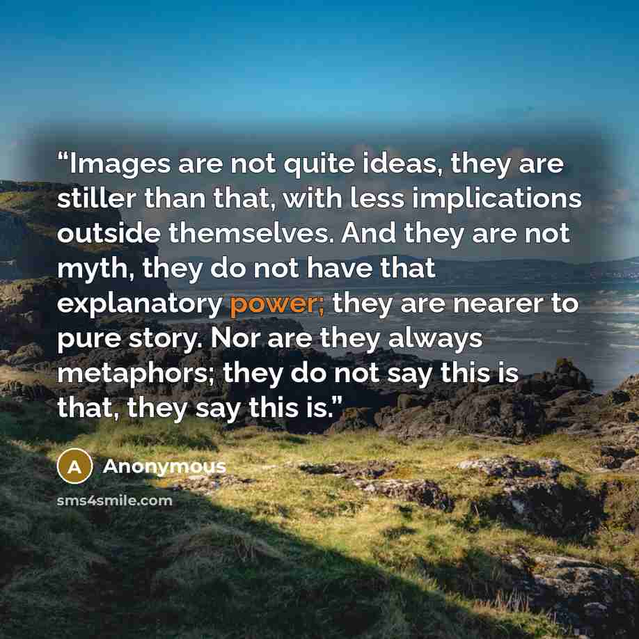 “Images are not quite ideas, they are stiller than that, with less implications outside themselves. And they are not myth, they do not have that explanatory power; they are nearer to pure story. Nor are they always metaphors; they do not say this is that, they say this is.” quote by Anonymous