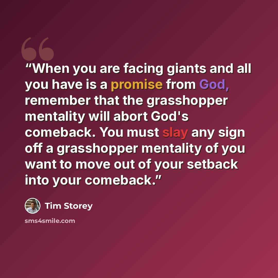 “When you are facing giants and all you have is a promise from God, remember that the grasshopper mentality will abort God's comeback. You must slay any sign off a grasshopper mentality of you want to move out of your setback into your comeback.” quote by Tim Storey