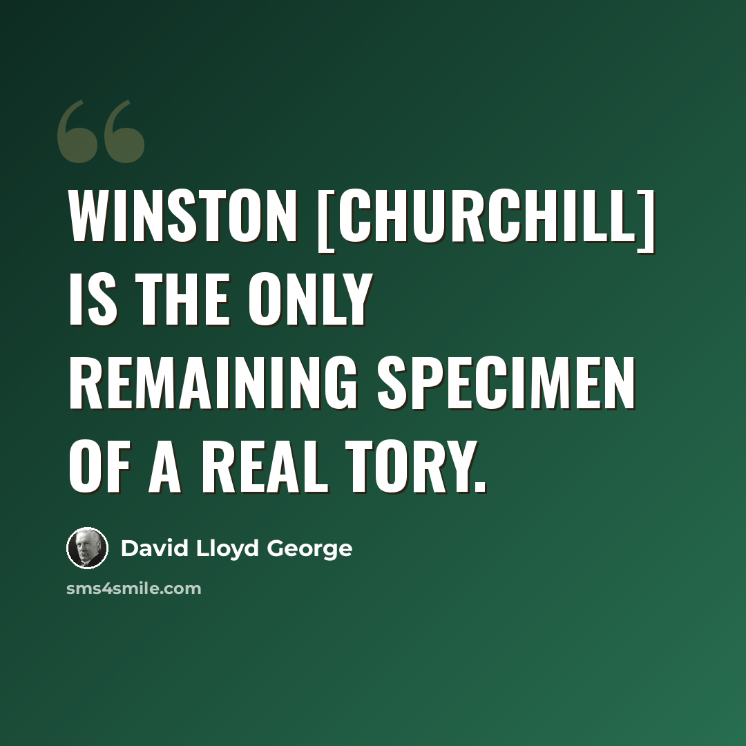 “Winston [Churchill] is the only remaining specimen of a real Tory.” quote by David Lloyd George