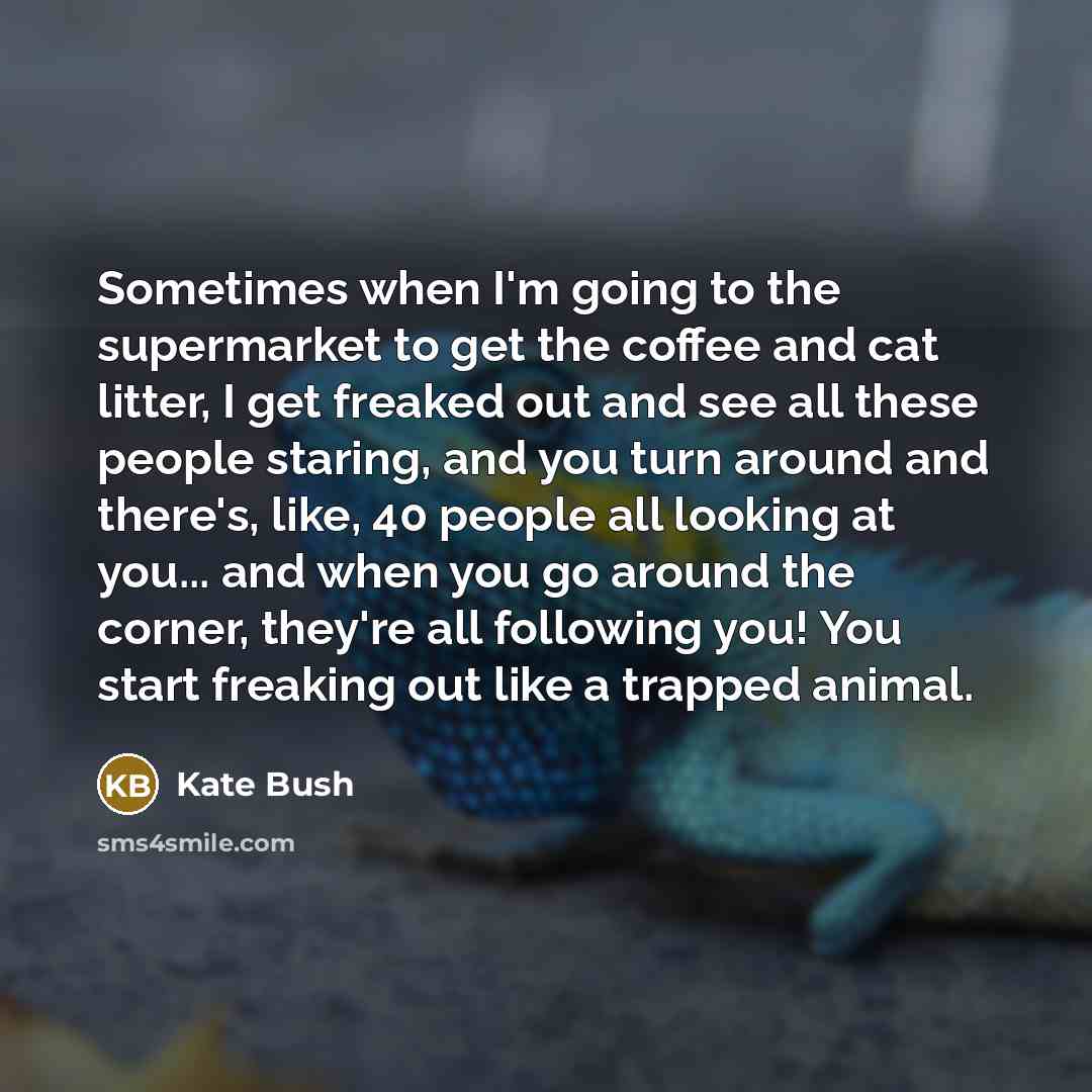 “Sometimes when I'm going to the supermarket to get the coffee and cat litter, I get freaked out and see all these people staring, and you turn around and there's, like, 40 people all looking at you... and when you go around the corner, they're all following you! You start freaking out like a…” quote by Kate Bush