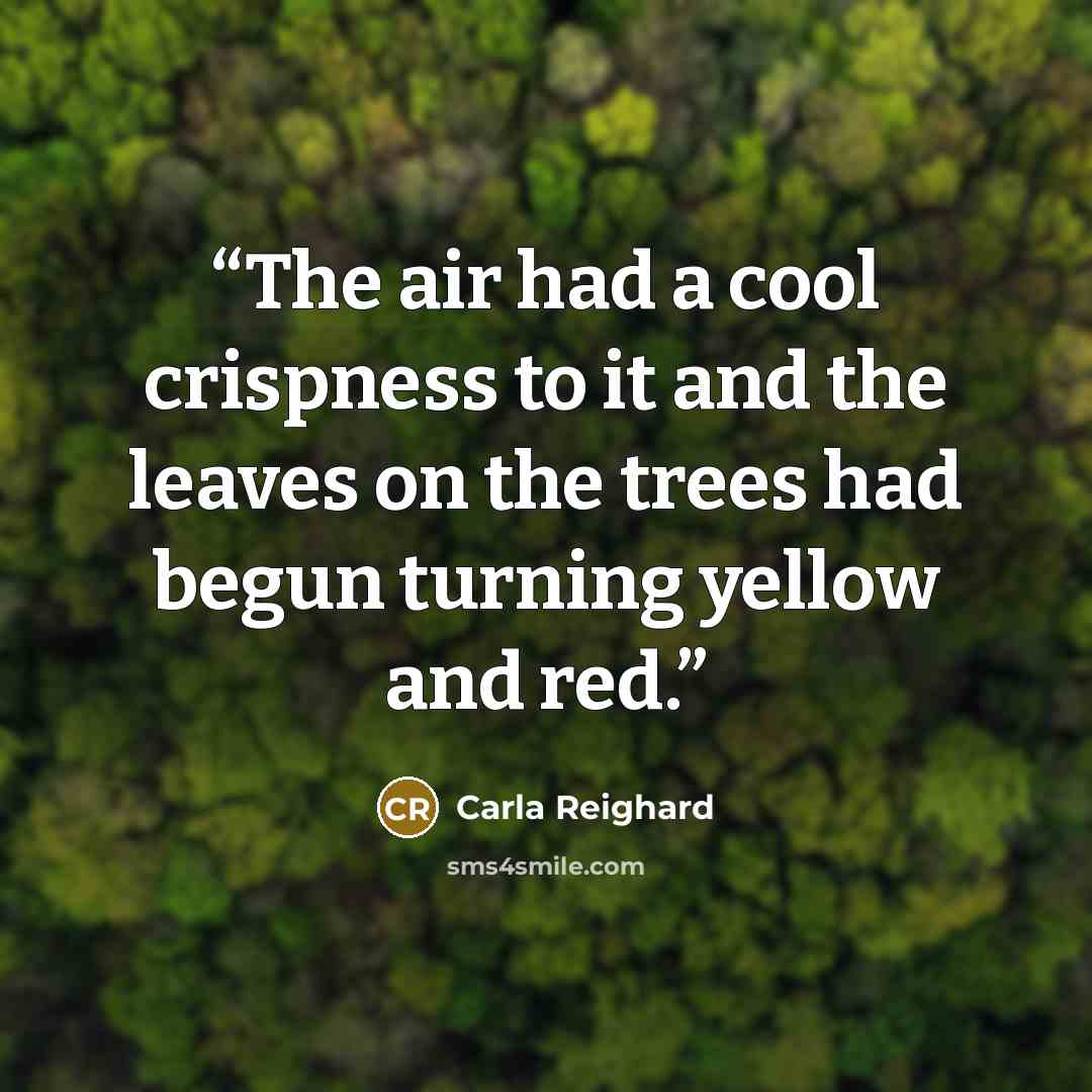 “The air had a cool crispness to it and the leaves on the trees had begun turning yellow and red.” quote by Carla Reighard