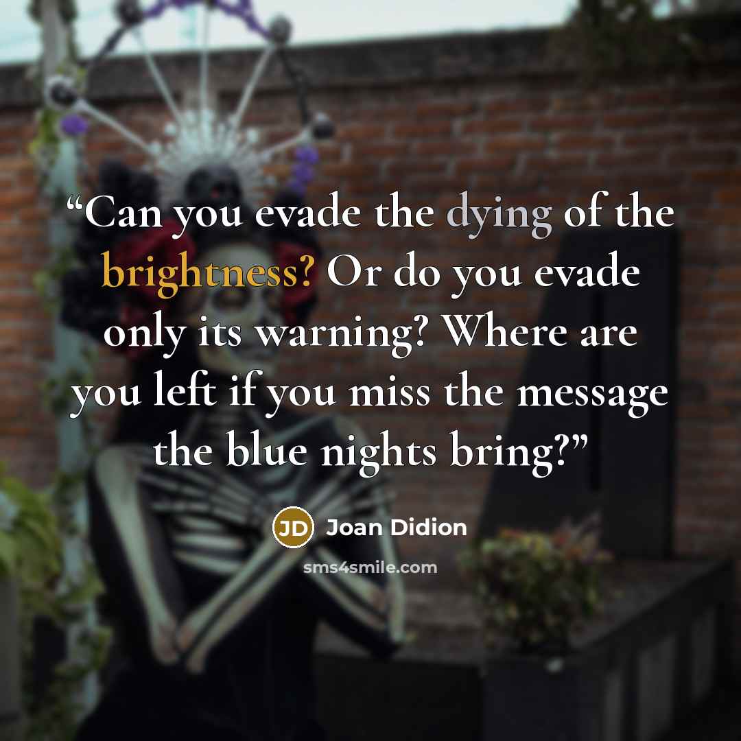 “Can you evade the dying of the brightness? Or do you evade only its warning? Where are you left if you miss the message the blue nights bring?” quote by Joan Didion