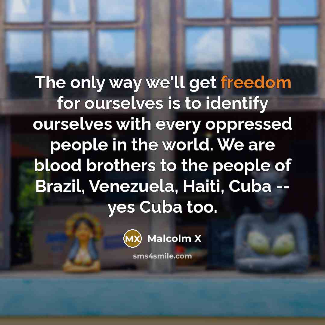 “The only way we'll get freedom for ourselves is to identify ourselves with every oppressed people in the world. We are blood brothers to the people of Brazil, Venezuela, Haiti, Cuba -- yes Cuba too.” quote by Malcolm X