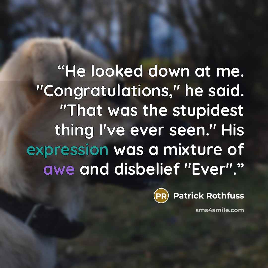 “He looked down at me. "Congratulations," he said. "That was the stupidest thing I've ever seen." His expression was a mixture of awe and disbelief "Ever".” quote by Patrick Rothfuss