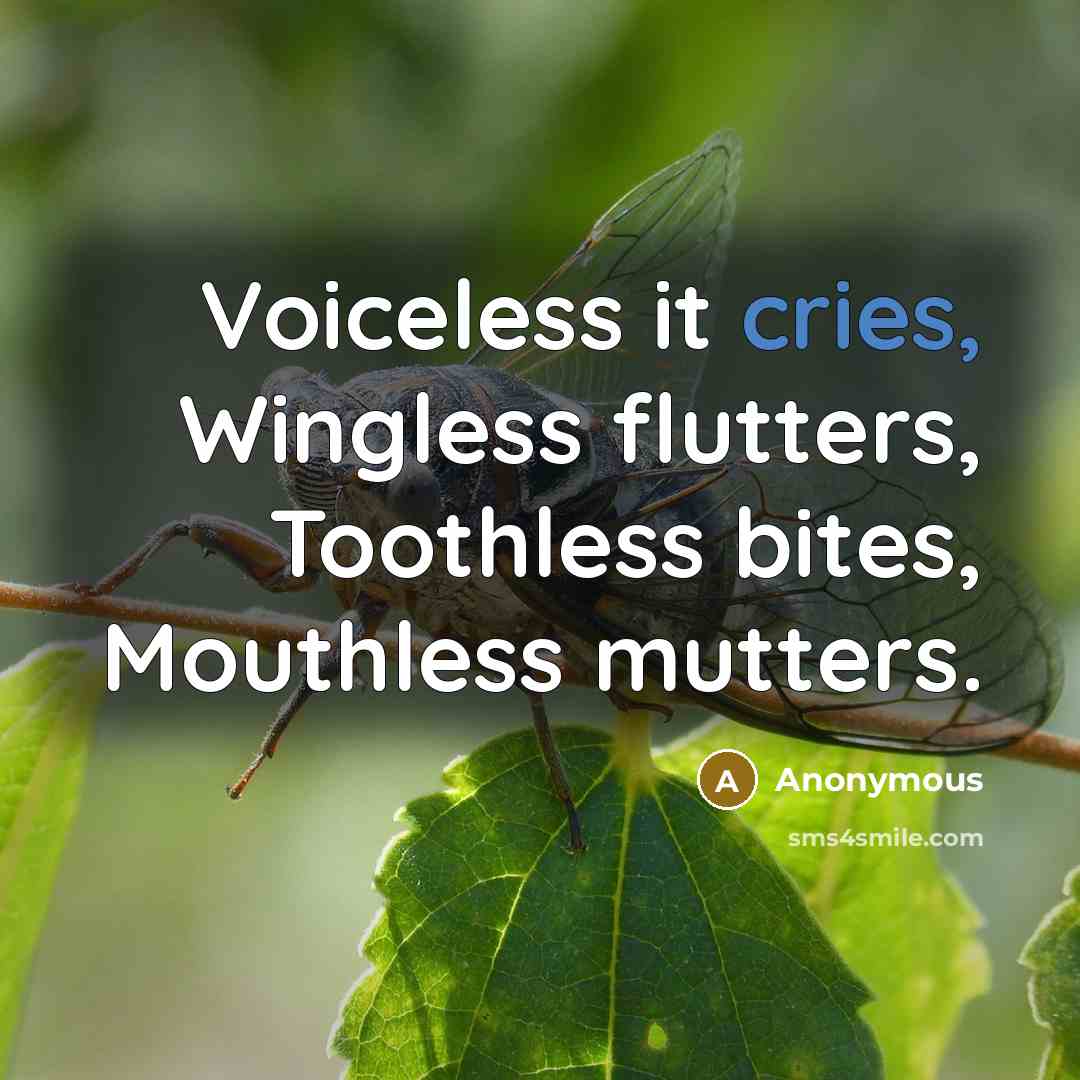 “Voiceless it cries, Wingless flutters, Toothless bites, Mouthless mutters.” quote by Anonymous