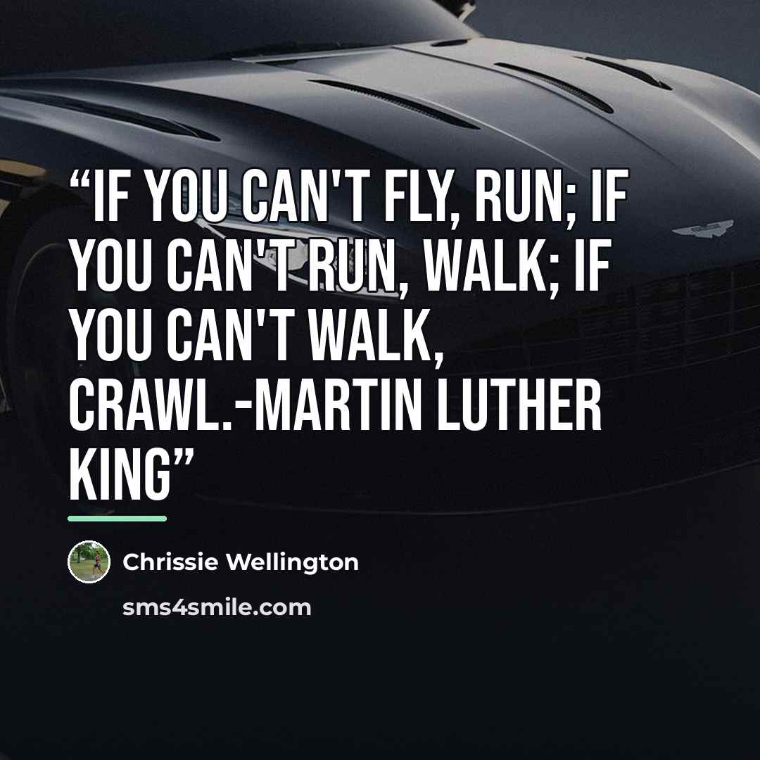 “If you can't fly, run; if you can't run, walk; if you can't walk, crawl.-Martin Luther King” quote by Chrissie Wellington
