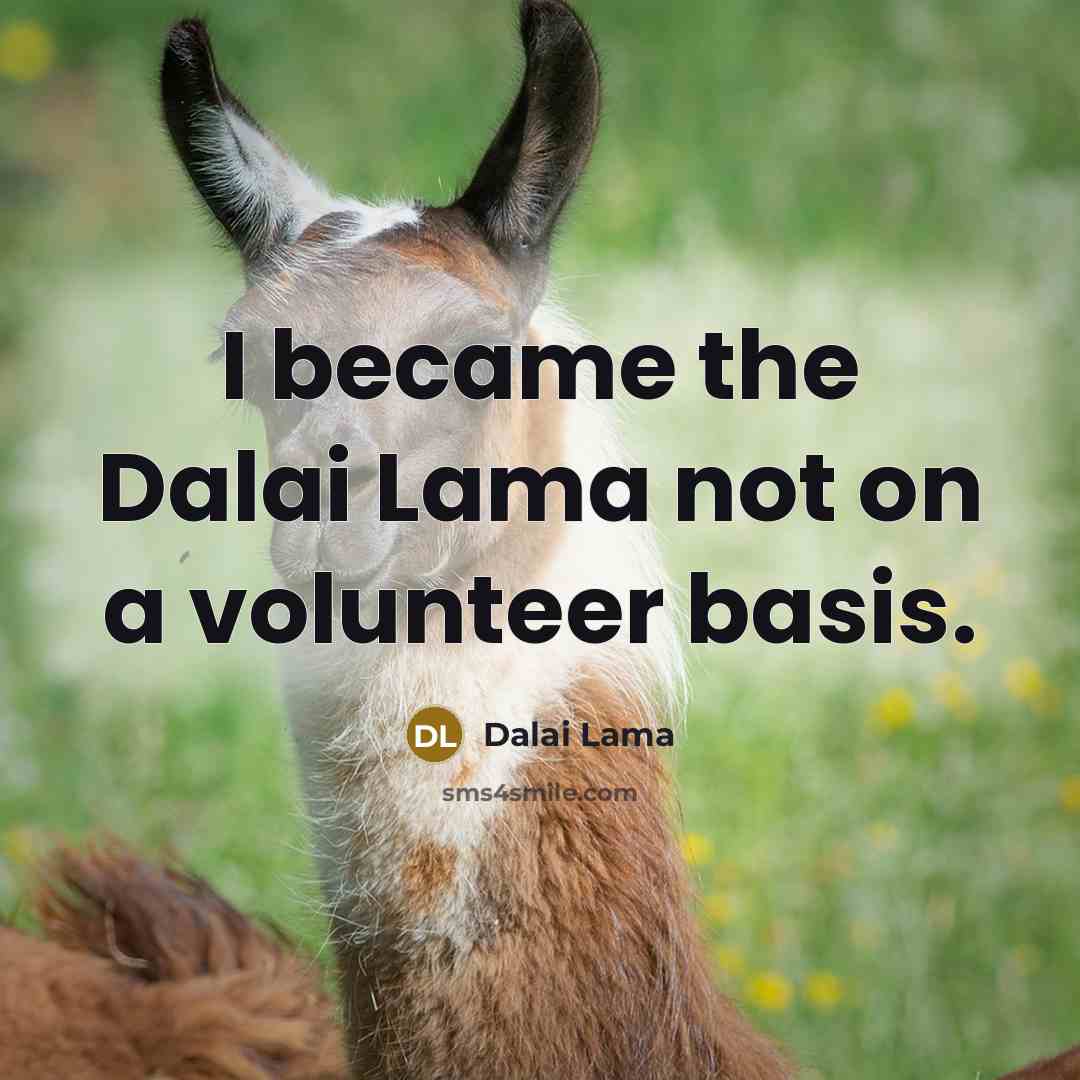 “I became the Dalai Lama not on a volunteer basis.” quote by Dalai Lama