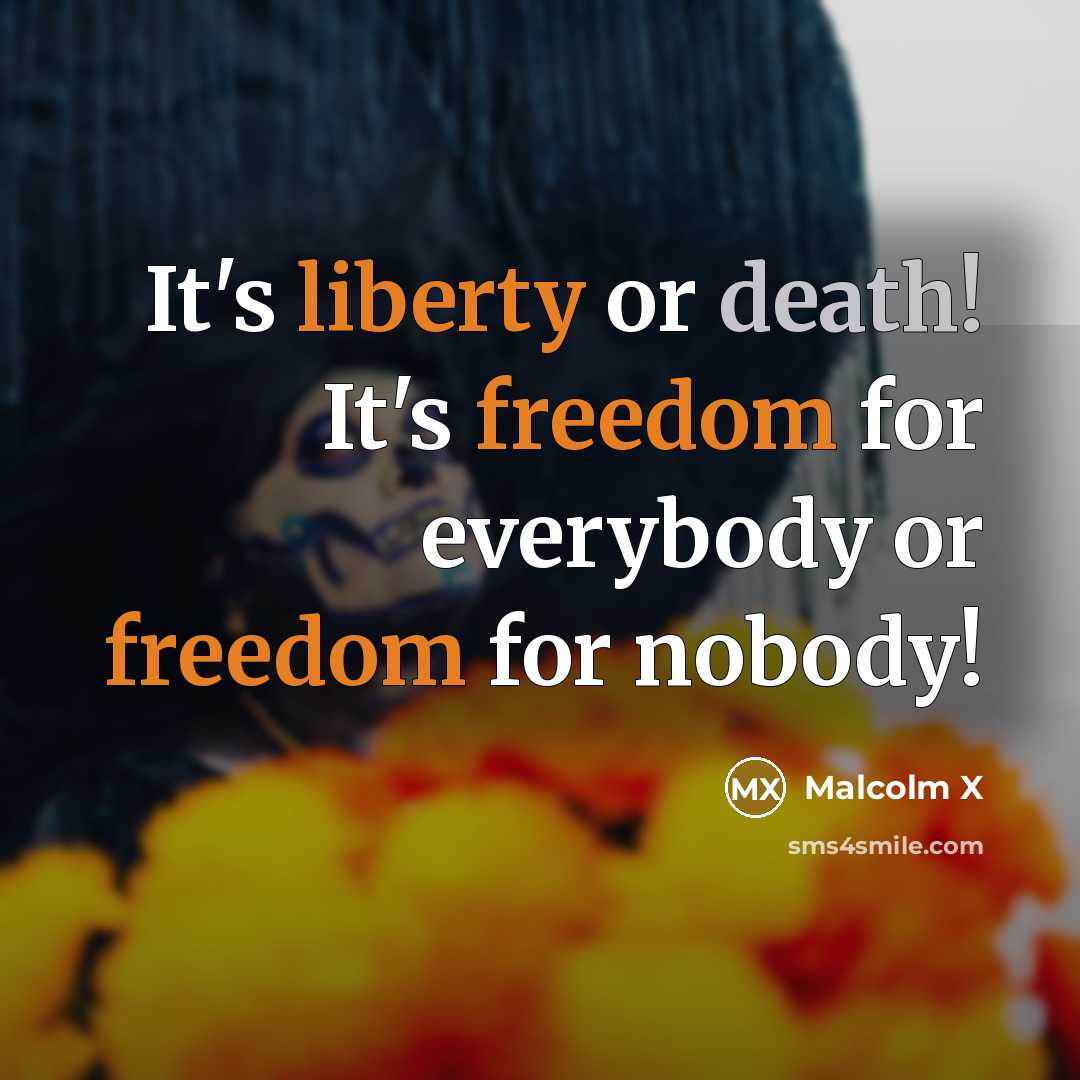 “It's liberty or death! It's freedom for everybody or freedom for nobody!” quote by Malcolm X