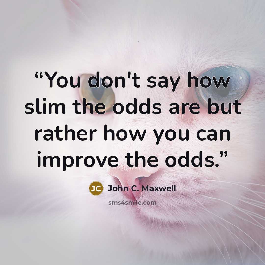 “You don't say how slim the odds are but rather how you can improve the odds.” quote by John C. Maxwell