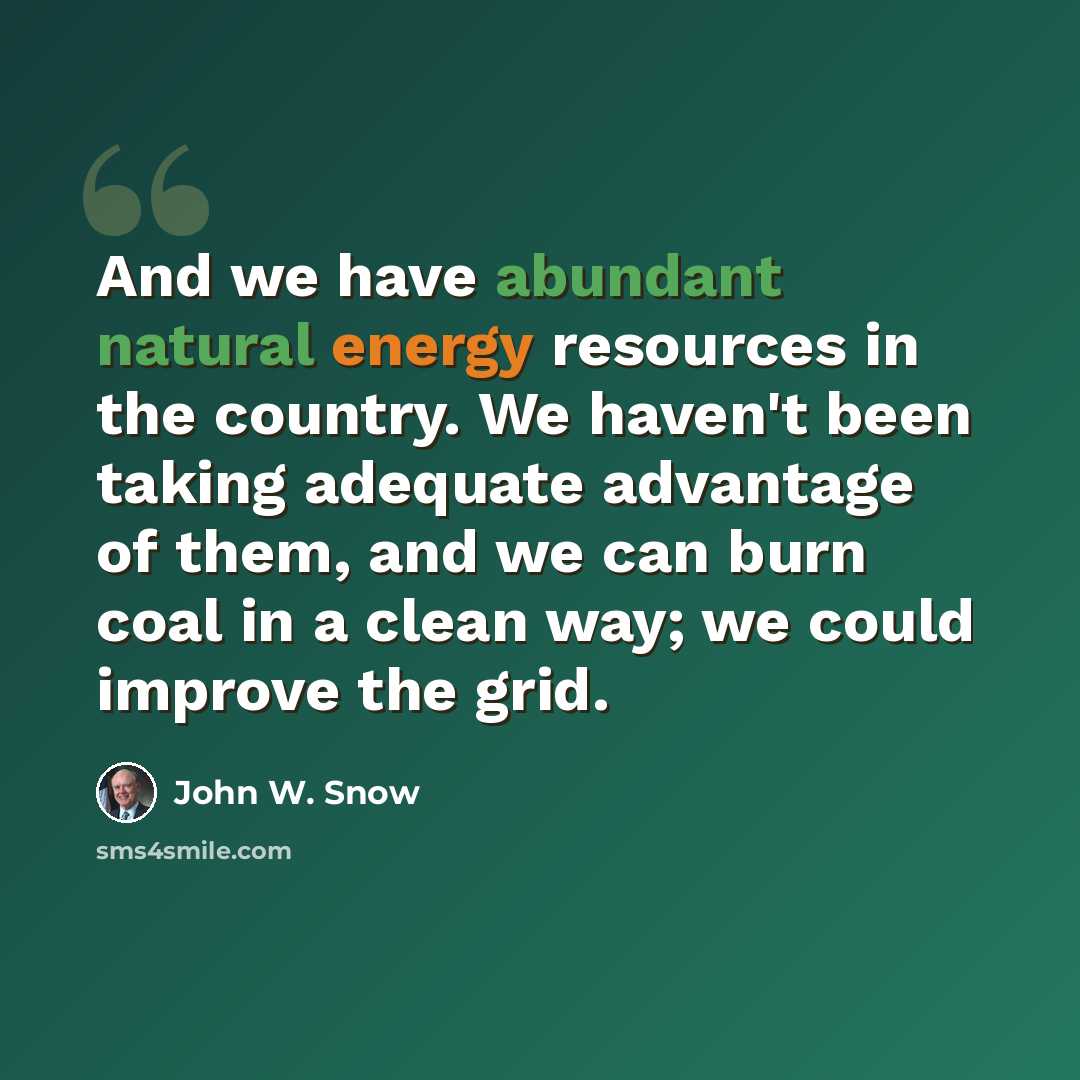 “And we have abundant natural energy resources in the country. We haven't been taking adequate advantage of them, and we can burn coal in a clean way; we could improve the grid.” quote by John W. Snow