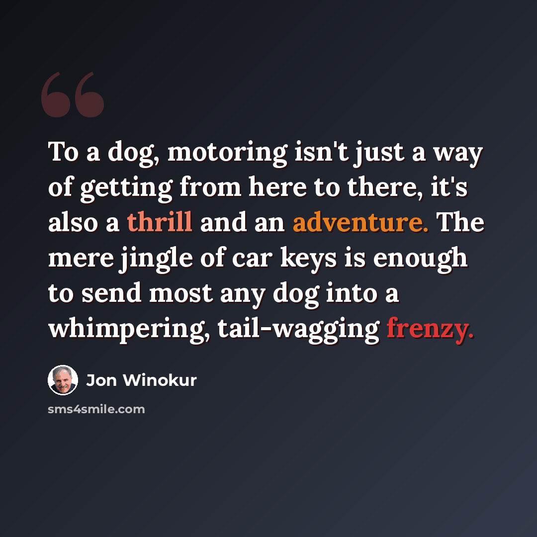 “To a dog, motoring isn't just a way of getting from here to there, it's also a thrill and an adventure. The mere jingle of car keys is enough to send most any dog into a whimpering, tail-wagging frenzy.” quote by Jon Winokur