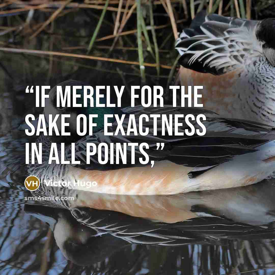 “if merely for the sake of exactness in all points,” quote by Victor Hugo