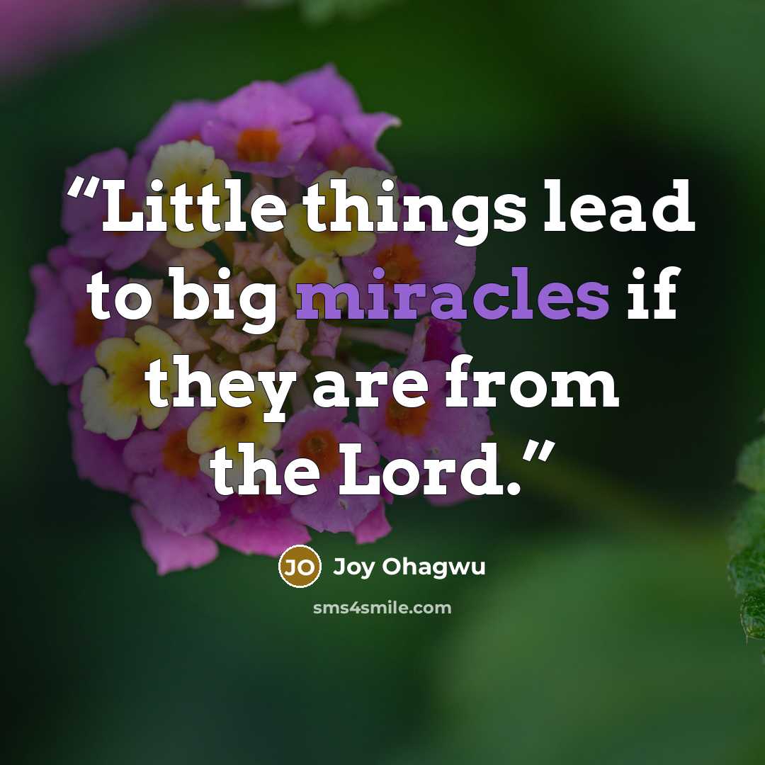 “Little things lead to big miracles if they are from the Lord.” quote by Joy Ohagwu