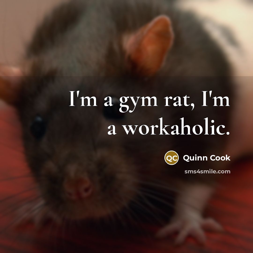 “I'm a gym rat, I'm a workaholic.” quote by Quinn Cook
