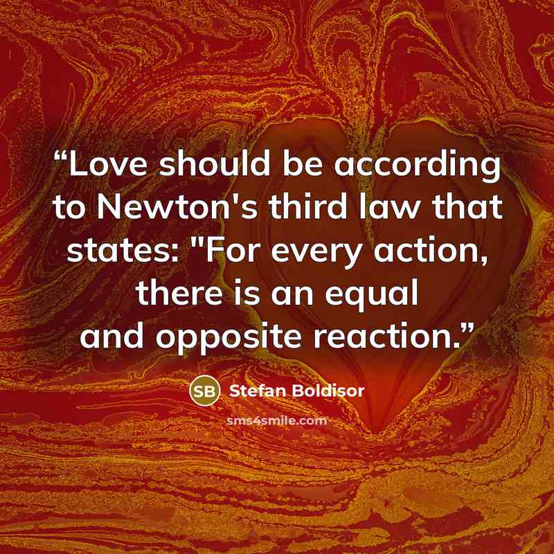 “Love should be according to Newton's third law that states: "For every action, there is an equal and opposite reaction.” quote by Stefan Boldisor