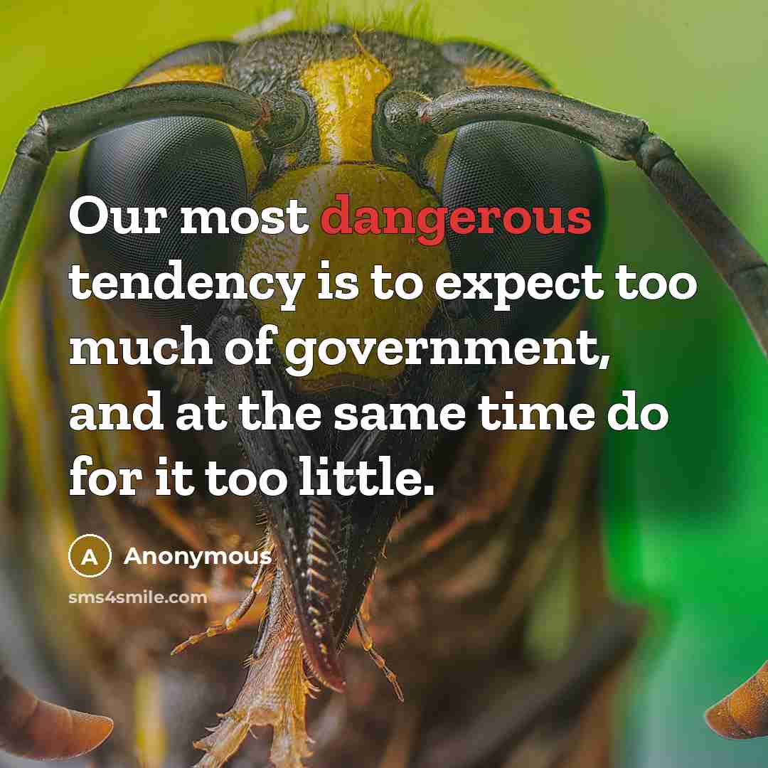 “Our most dangerous tendency is to expect too much of government, and at the same time do for it too little.” quote by Anonymous