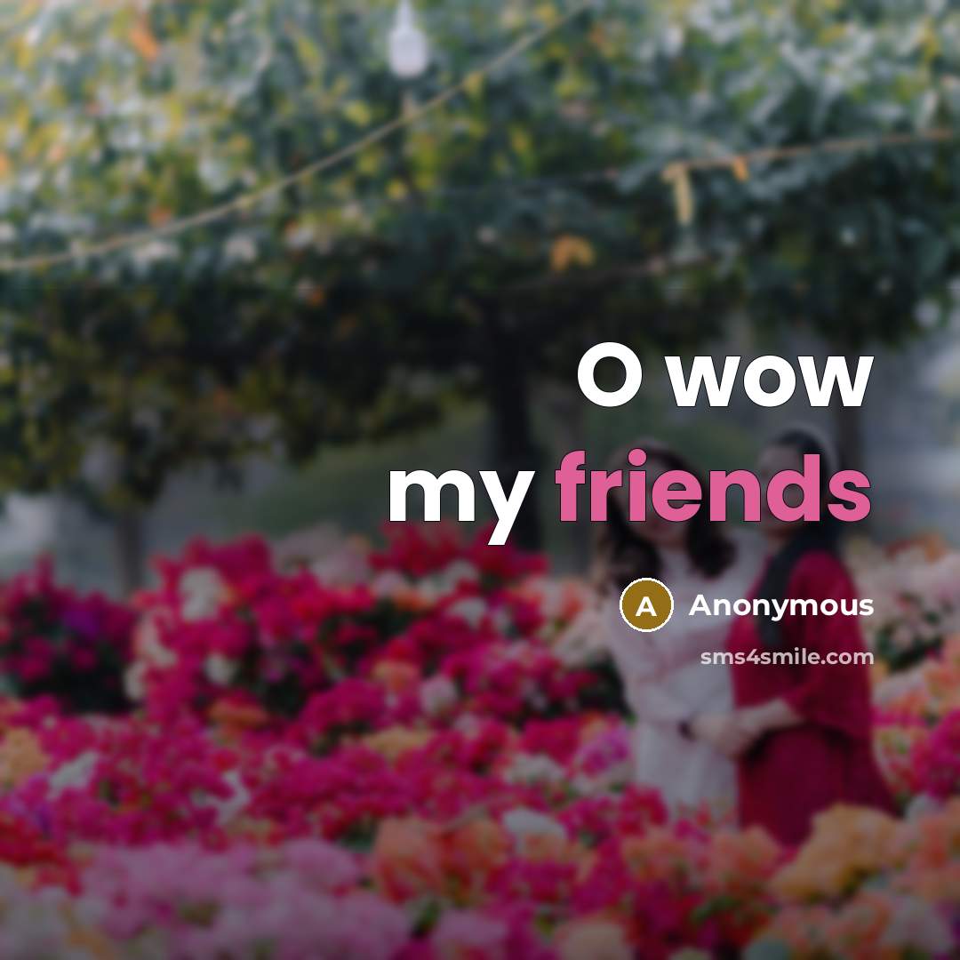 “O wow my friends” quote by Anonymous