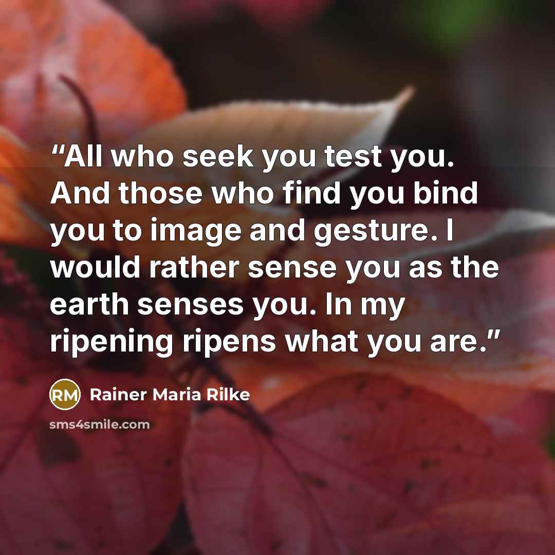 “All who seek you test you. And those who find you bind you to image and gesture. I would rather sense you as the earth senses you. In my ripening ripens what you are.” quote by Rainer Maria Rilke