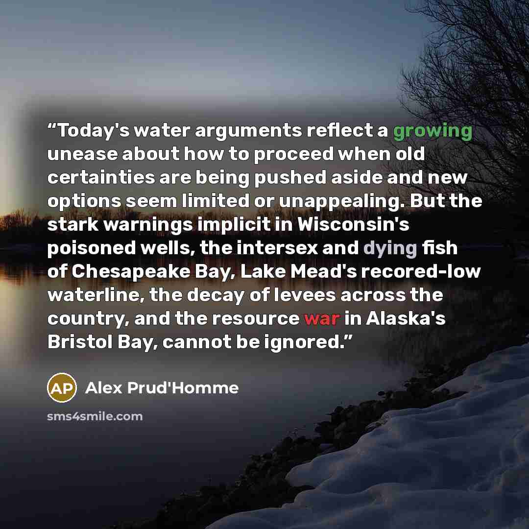 “Today's water arguments reflect a growing unease about how to proceed when old certainties are being pushed aside and new options seem limited or unappealing. But the stark warnings implicit in Wisconsin's poisoned wells, the intersex and dying fish of Chesapeake Bay, Lake Mead's recored-low…” quote by Alex Prud'Homme
