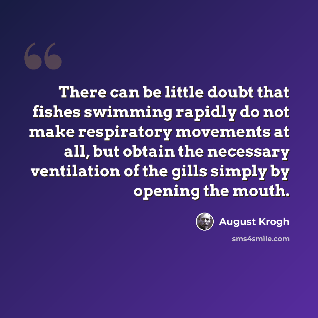 “There can be little doubt that fishes swimming rapidly do not make respiratory movements at all, but obtain the necessary ventilation of the gills simply by opening the mouth.” quote by August Krogh