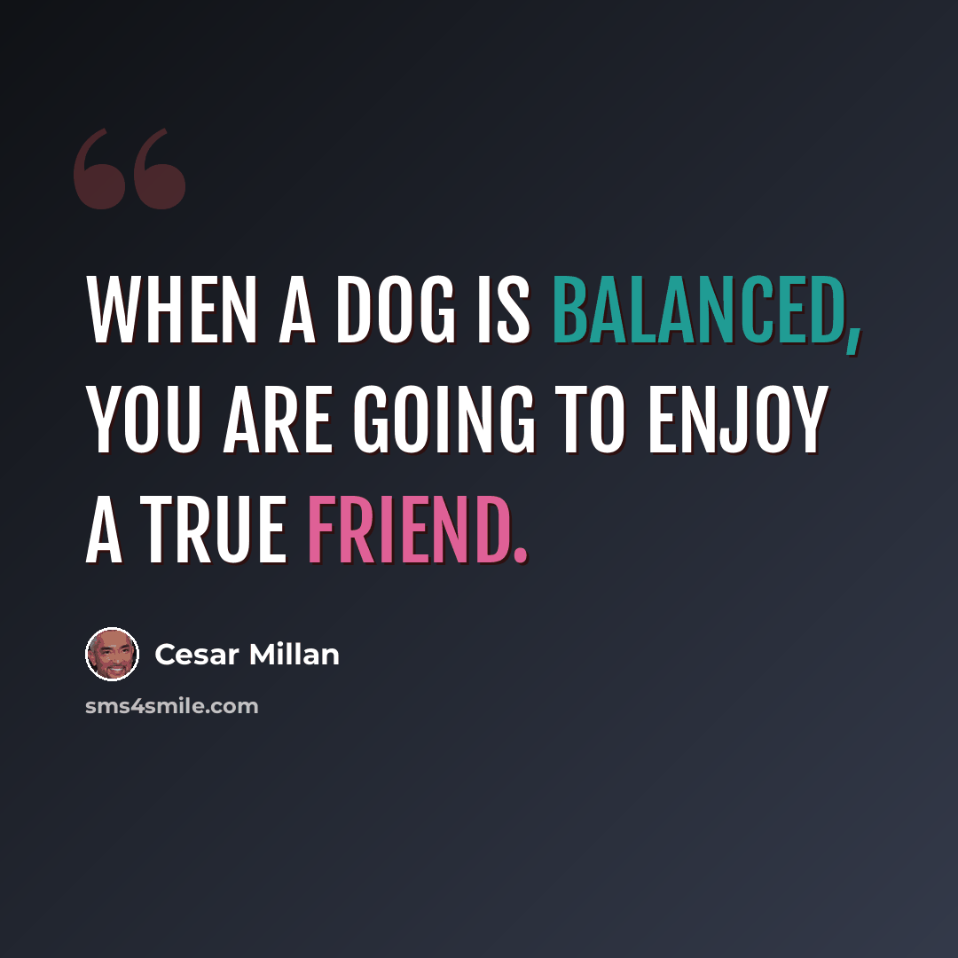 “When a dog is balanced, you are going to enjoy a true friend.” quote by Cesar Millan