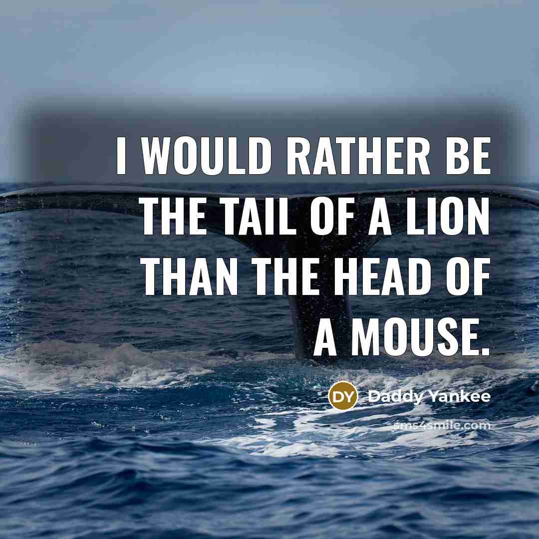 “I would rather be the tail of a lion than the head of a mouse.” quote by Daddy Yankee