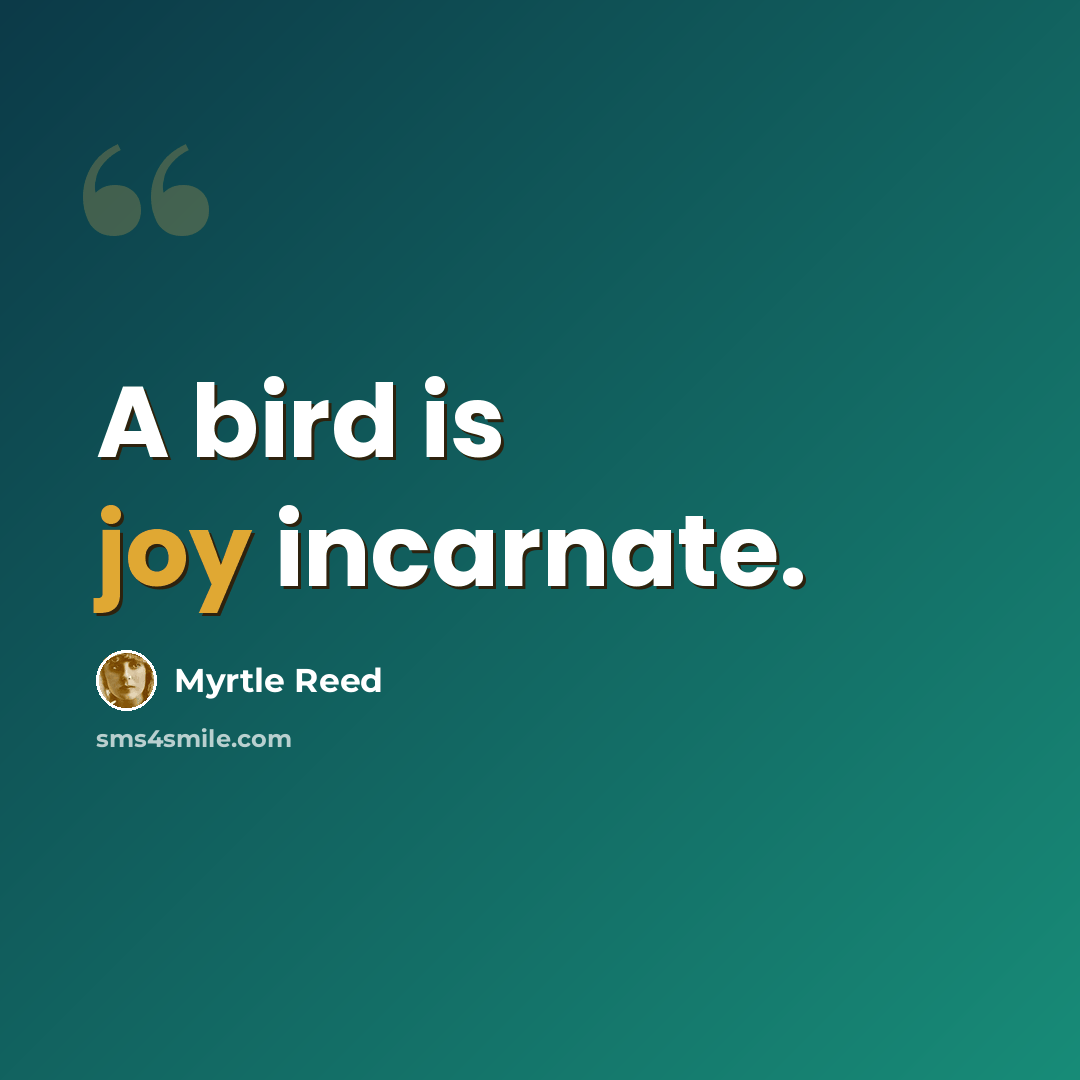 “A bird is joy incarnate.” quote by Myrtle Reed