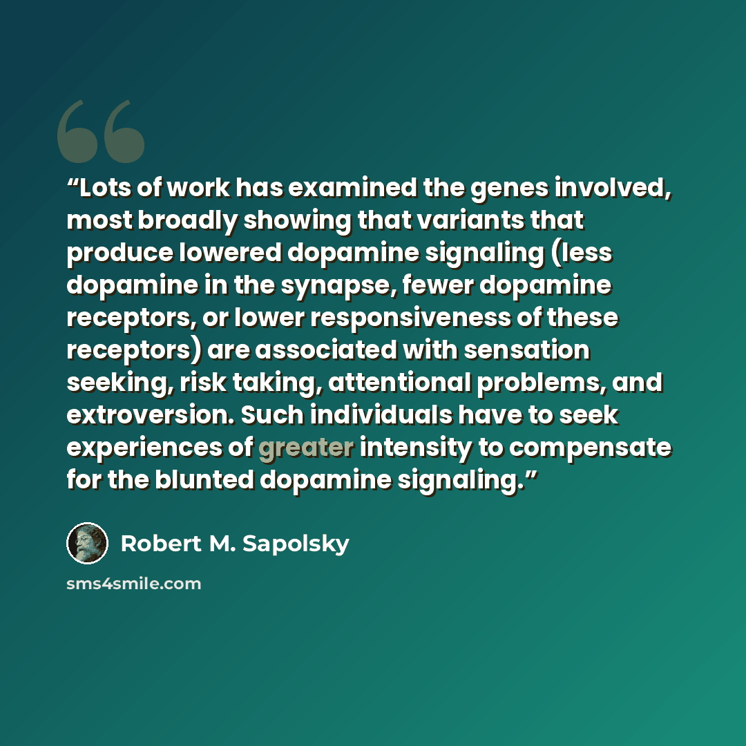 “Lots of work has examined the genes involved, most broadly showing that variants that produce lowered dopamine signaling (less dopamine in the synapse, fewer dopamine receptors, or lower responsiveness of these receptors) are associated with sensation seeking, risk taking, attentional problems…” quote by Robert M. Sapolsky