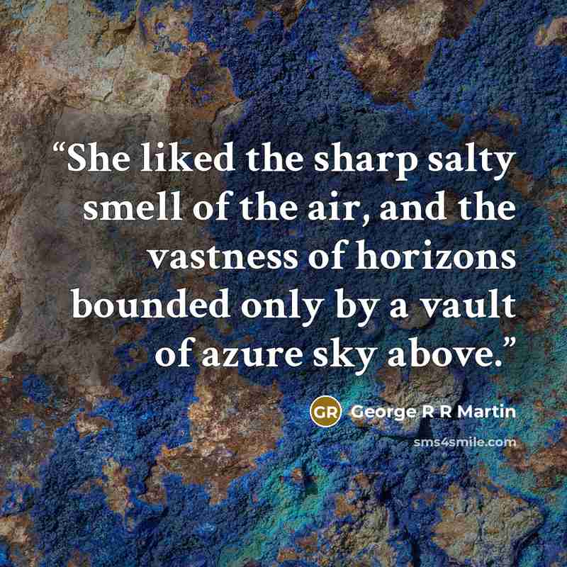 “She liked the sharp salty smell of the air, and the vastness of horizons bounded only by a vault of azure sky above.” quote by George R R Martin