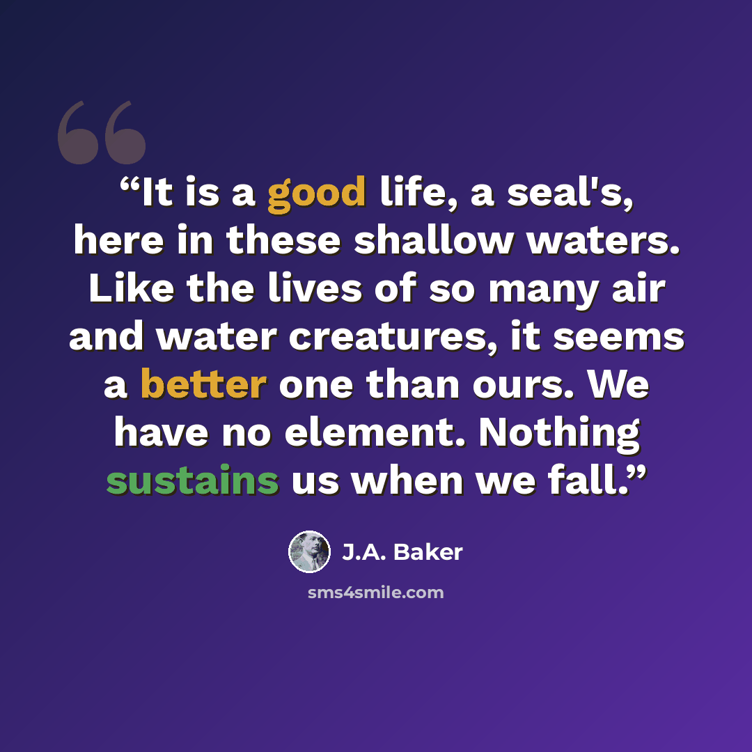 “It is a good life, a seal's, here in these shallow waters. Like the lives of so many air and water creatures, it seems a better one than ours. We have no element. Nothing sustains us when we fall.” quote by J.A. Baker