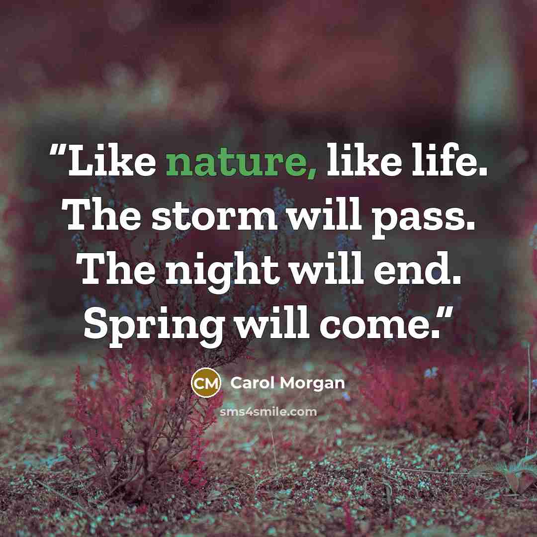 “Like nature, like life. The storm will pass. The night will end. Spring will come.” quote by Carol Morgan