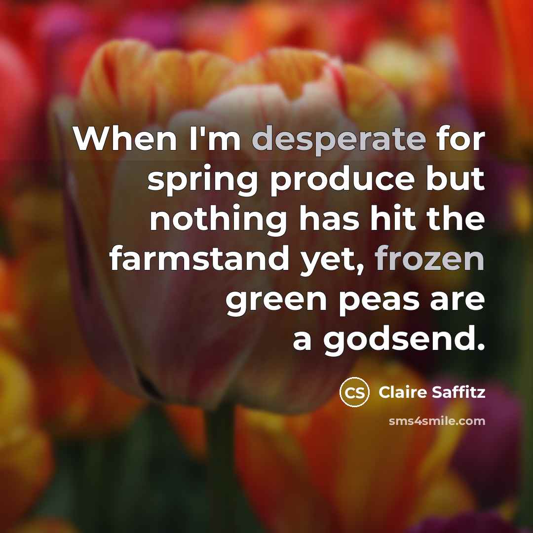 “When I'm desperate for spring produce but nothing has hit the farmstand yet, frozen green peas are a godsend.” quote by Claire Saffitz