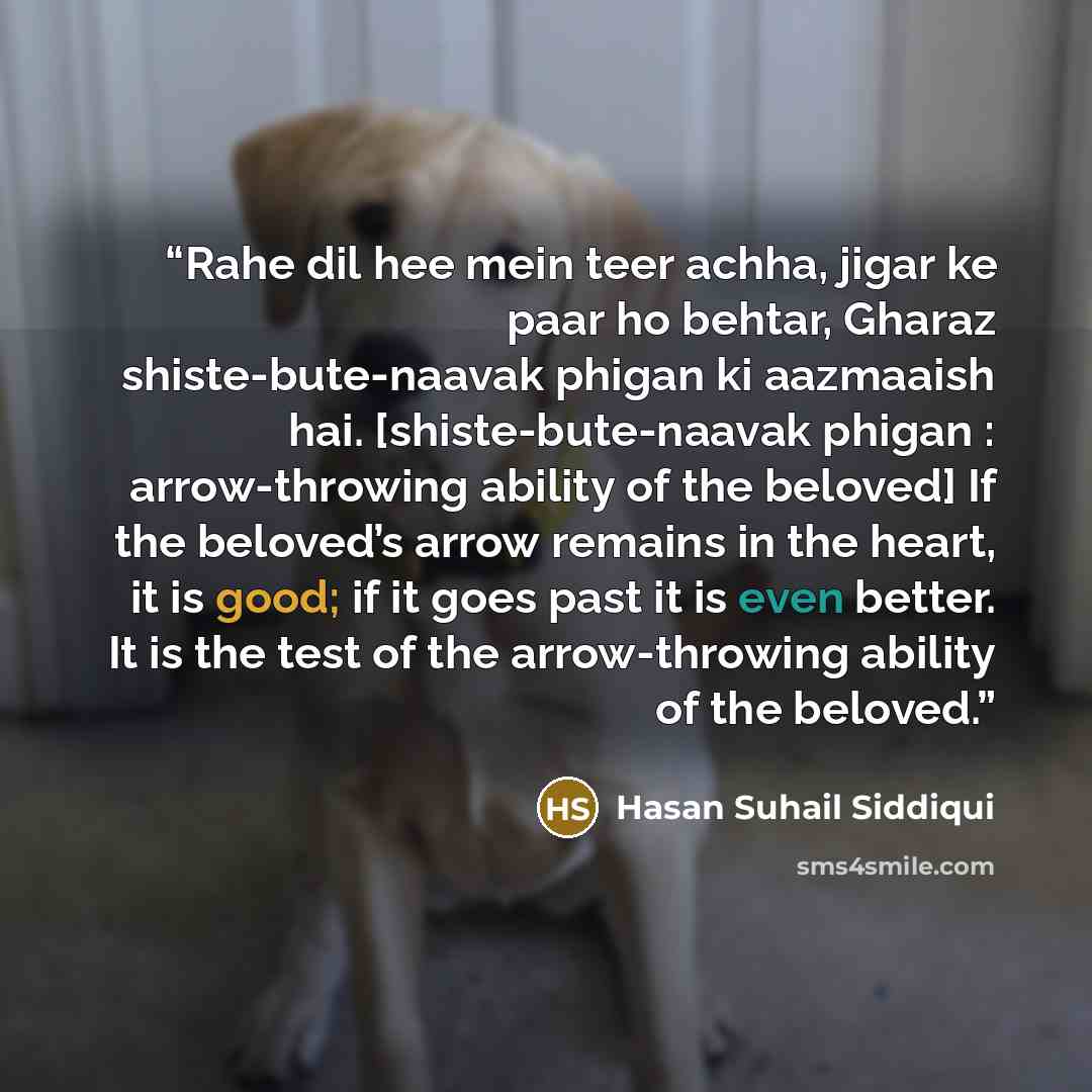 “Rahe dil hee mein teer achha, jigar ke paar ho behtar, Gharaz shiste-bute-naavak phigan ki aazmaaish hai. [shiste-bute-naavak phigan : arrow-throwing ability of the beloved] If the beloved’s arrow remains in the heart, it is good; if it goes past it is even better. It is the test of the…” quote by Hasan Suhail Siddiqui