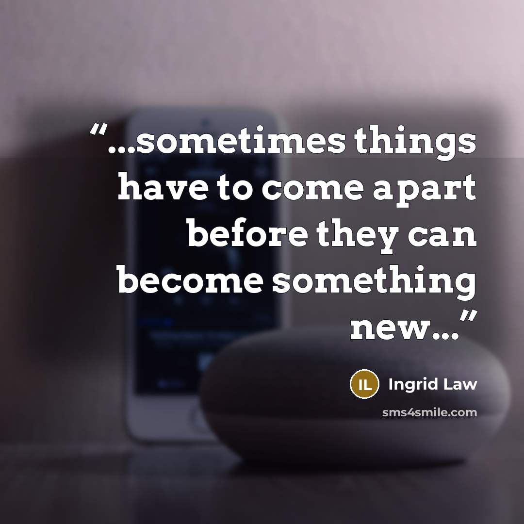 “...sometimes things have to come apart before they can become something new...” quote by Ingrid Law