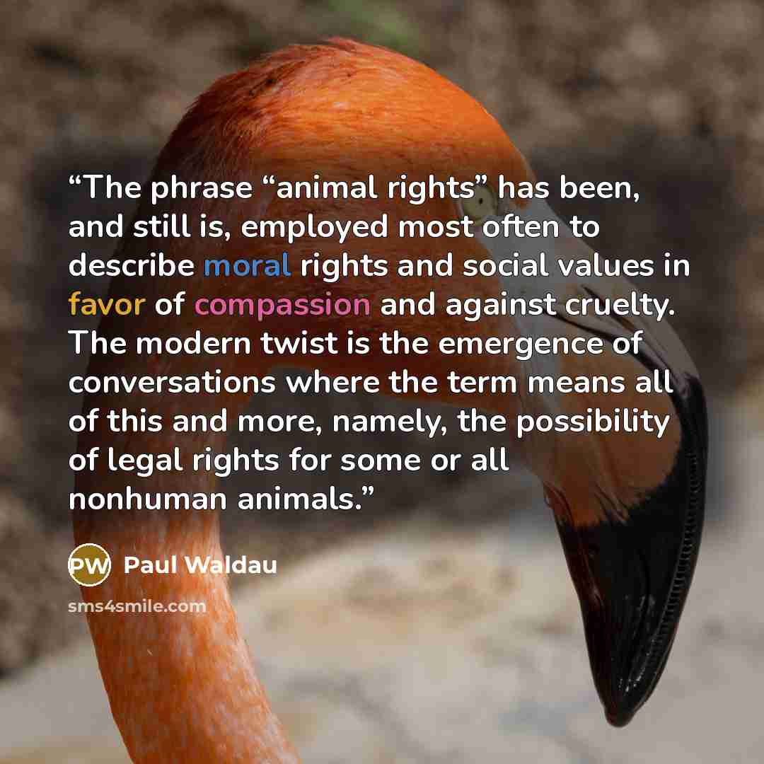 “The phrase “animal rights” has been, and still is, employed most often to describe moral rights and social values in favor of compassion and against cruelty. The modern twist is the emergence of conversations where the term means all of this and more, namely, the possibility of legal rights for…” quote by Paul Waldau